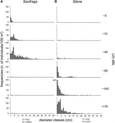 Successional Herbaceous Species Affect Soil Processes in a High-Elevation Alpine Proglacial Chronosequence